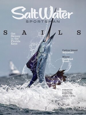 cover image of Salt Water Sportsman